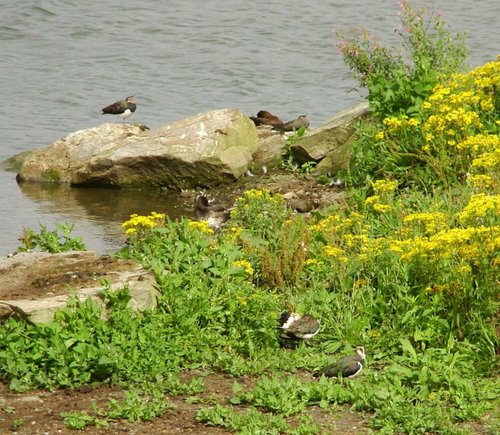 Anglers Country Park