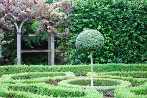 The knot garden at Moseley Old Hall