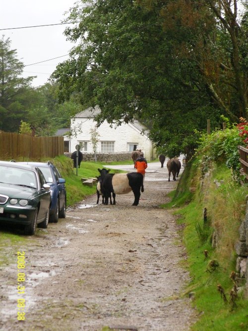 Village Track