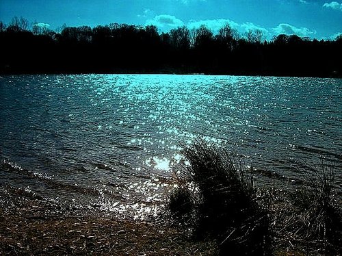 Whitlingham lake