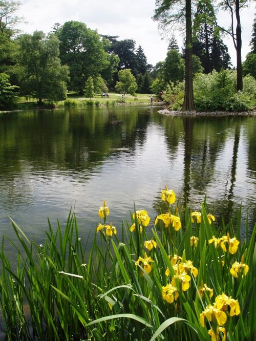 Yellow and Green