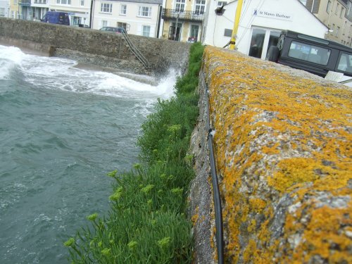 St Mawes