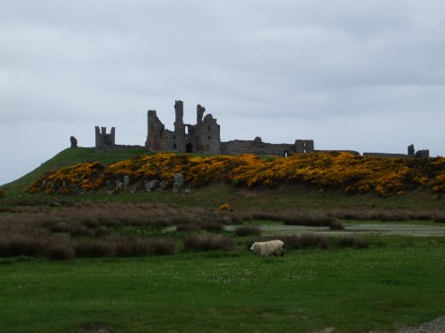 Dunstanburgh Castle.