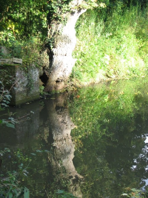 Basingstoke Canal, Up Nately