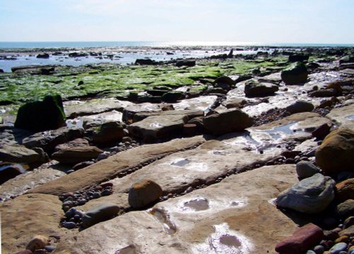 Winchelsea Beach