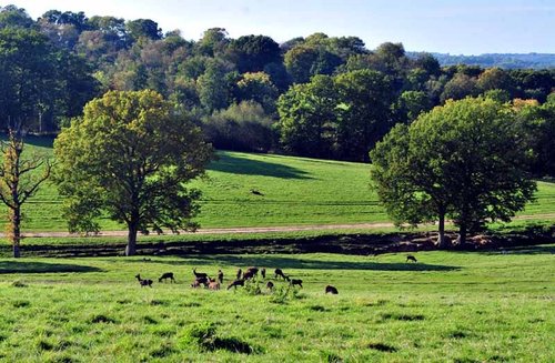 Bucklebury, Berkshire.