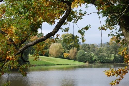 The lake at Witley