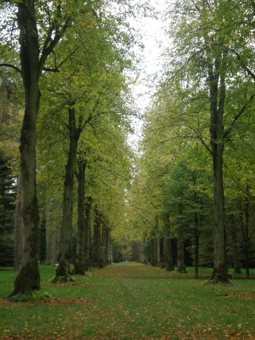 Westonbirt Arboretum