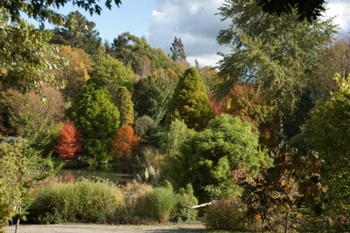 Autumn at Hillier Gardens in Hampshire