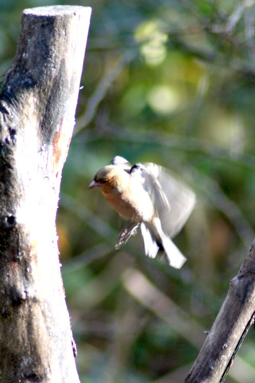 Washington Wetlands Centre