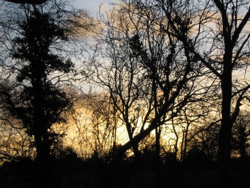 Around the Canal - Late Afternoon