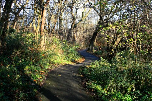 The Hawthorn Wood Path.