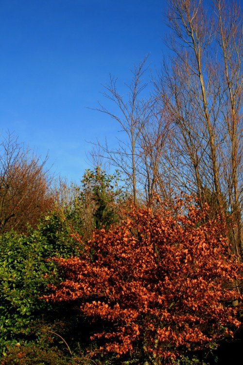 Washington Wetlands Centre