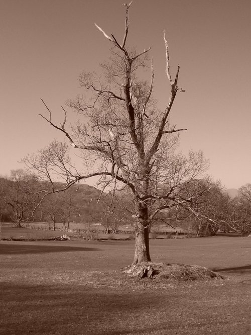 Rothay Park Ambleside