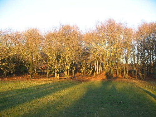 Hamble Common