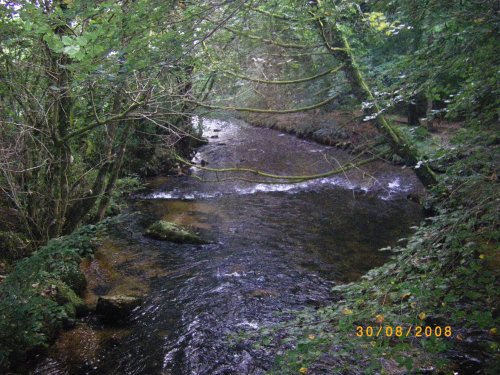 Golitha Falls