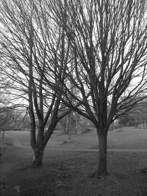 Borrens Park, Waterhead, Ambleside