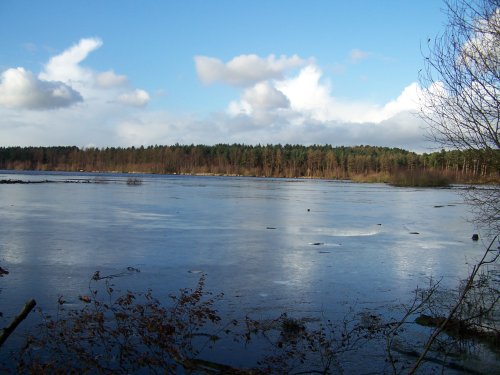 Delamere Forest Lake