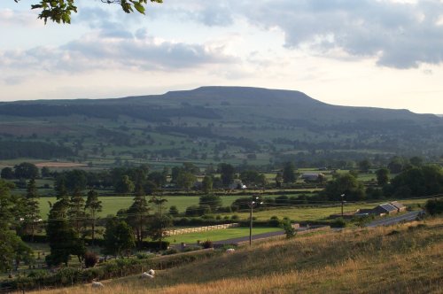 Leyburn View