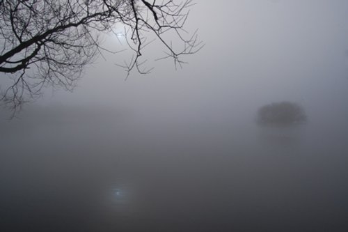 Misty lake