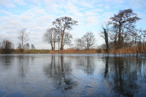 Frozen Lake