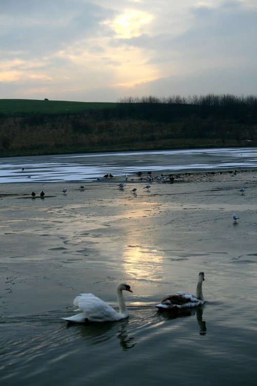 Herrington Country Park