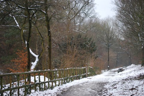 Saltwells Local Nature Reserve