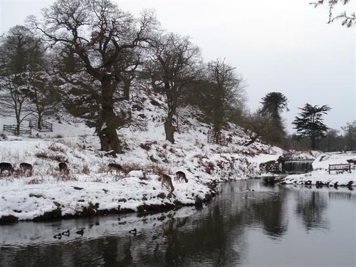 Bradgate Park