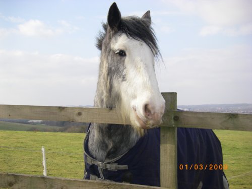 Bestwood Lodge Country Park