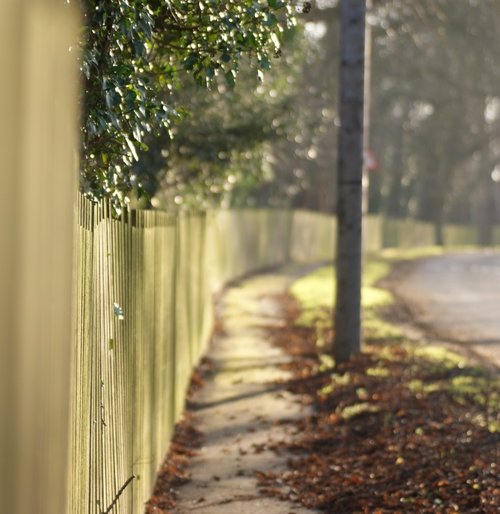 Autumn sunshine