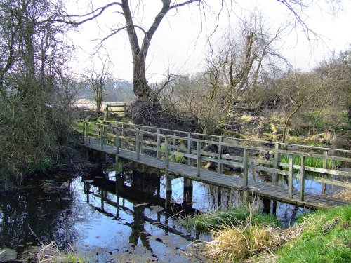 Stagnant pond and walkway