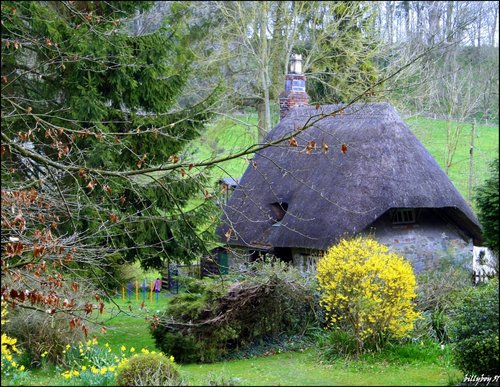 Pheasant Cottage