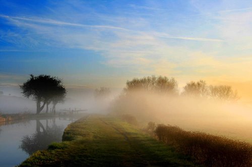 Mist at Branston Lock