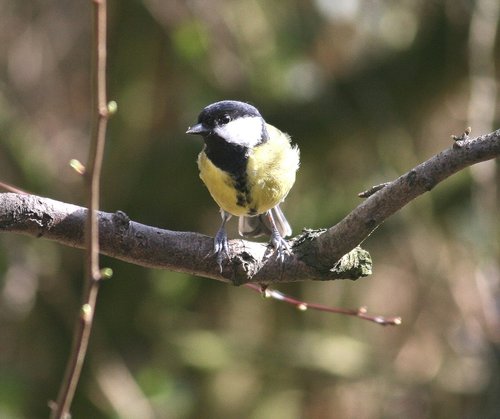 Washington Wetlands Centre