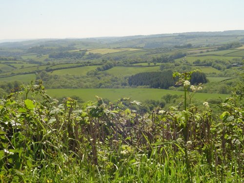 Exmoor National Park