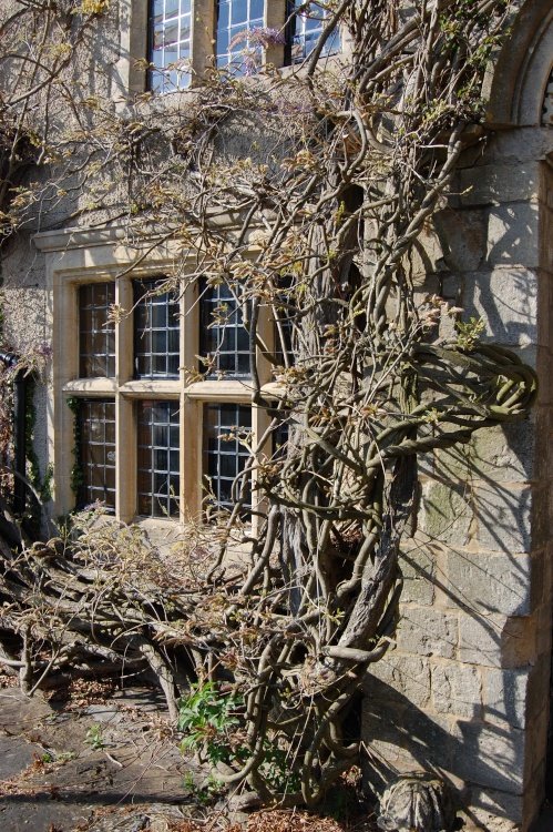 Pub window in Malmesbury