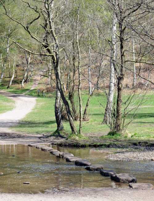 Stepping stones over Sher Brook