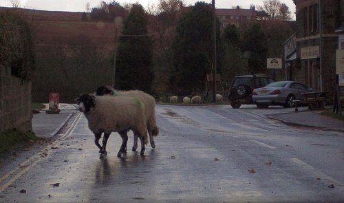 Goathland pedestrian crossing