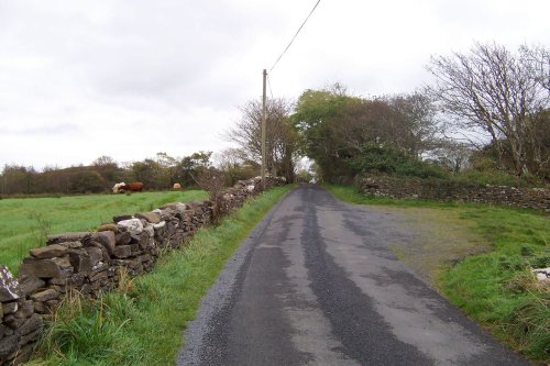 County Mayo