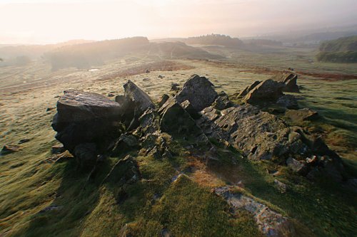 Bradgate Park