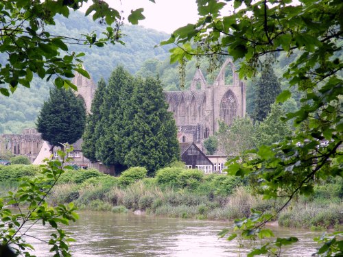 Tintern Abbey