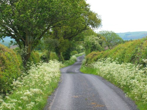 Hothersall Lane