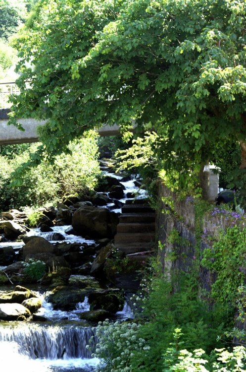 Steps down to the river.