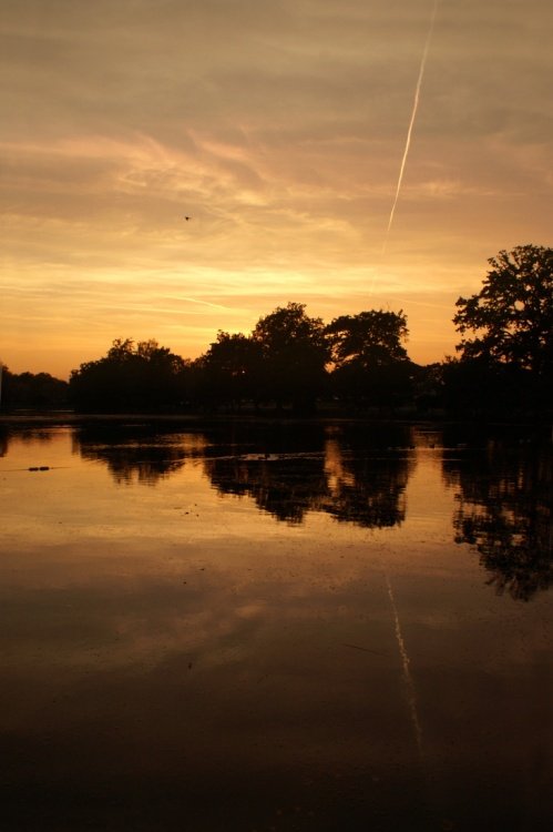 Sunset over Valentines Park lake.