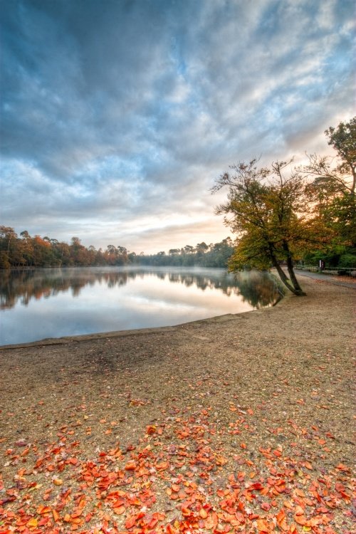 Black Park Lake