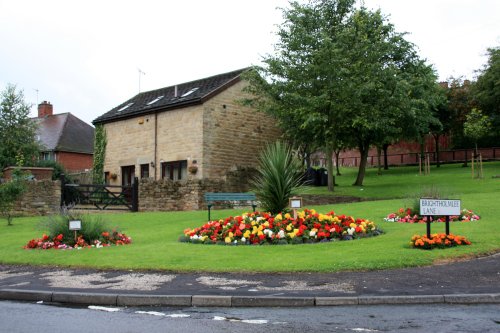 Flower display