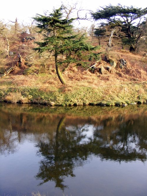 Bradgate Park