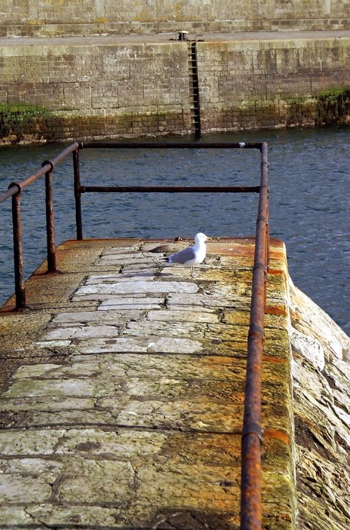 Mevagissey