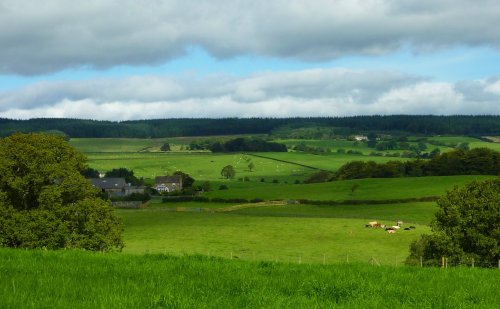 Longridge Fell