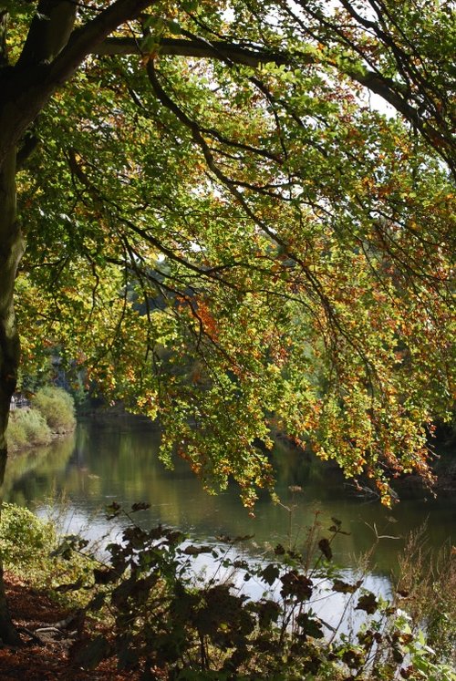 Autumn by the River Severn